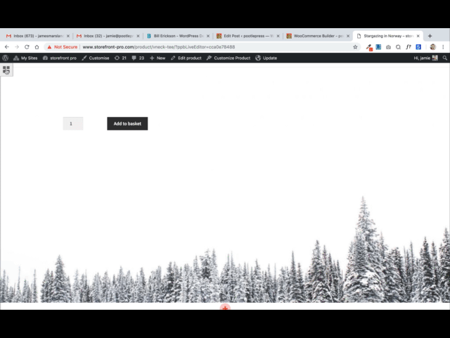 How to customize the WooCommerce Product Page 36 How to customize the WooCommerce Product Page 11